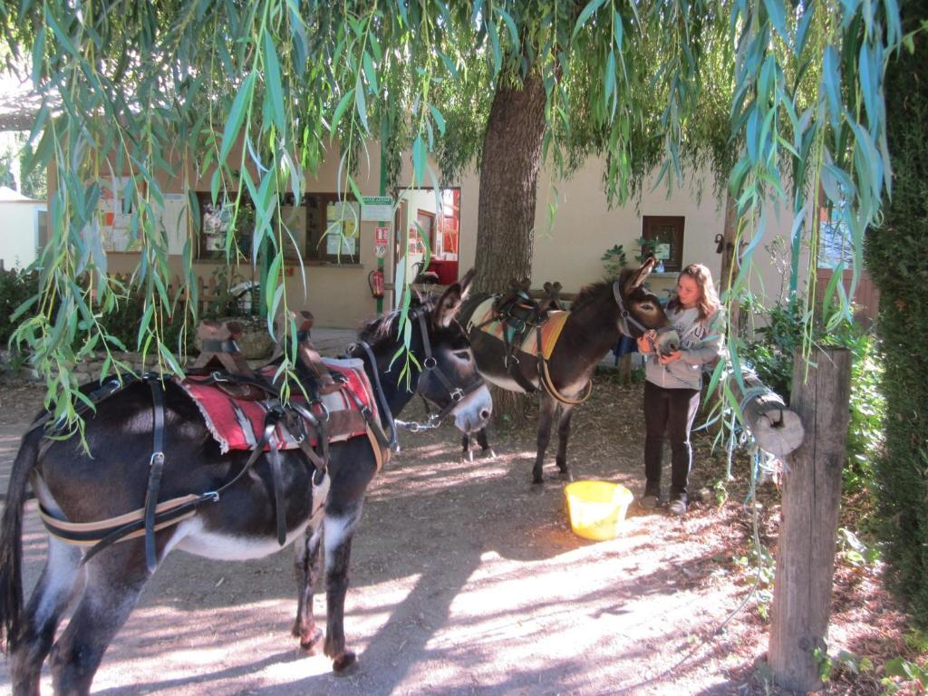 Le Vallon Ispagnac Ngoại thất bức ảnh